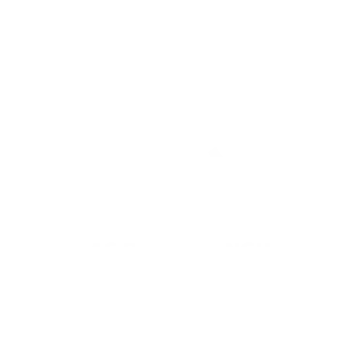 Customer Logo